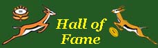 Springbok Rugby Stats Page